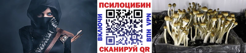 Псилоцибиновые грибы Magic Shrooms  Абинск 